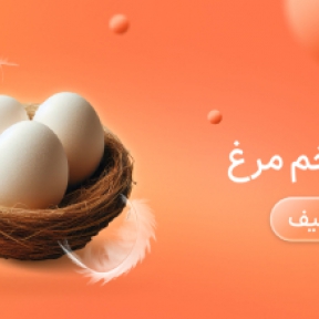 مرغ و تخم مرغ