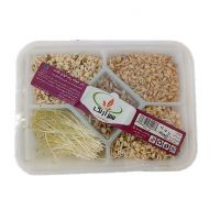 بذر جوانه زده انواع غلات سبزآرنگ 220 گرمی